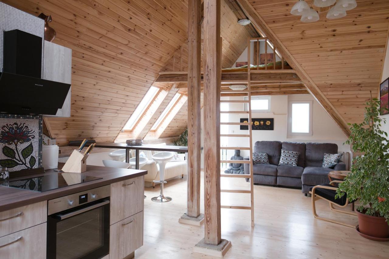 Art-House 3 Attic Apartment With Terrace Decin Eksteriør bilde
