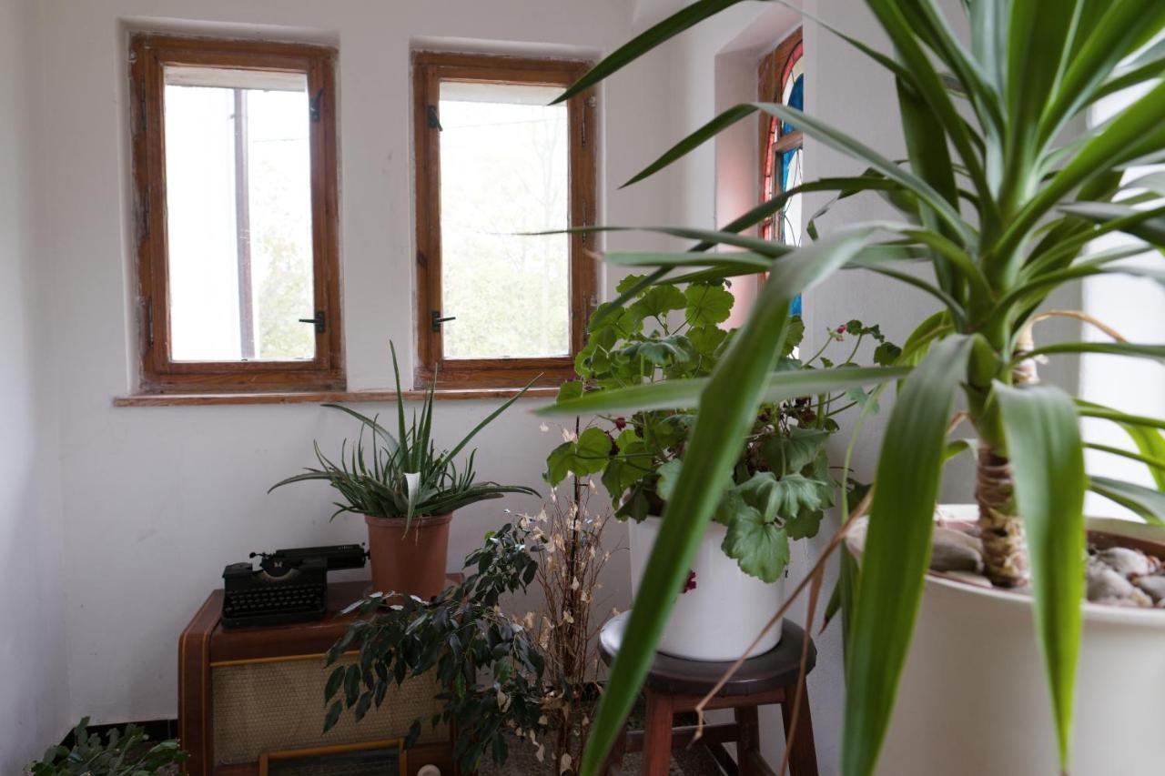 Art-House 3 Attic Apartment With Terrace Decin Eksteriør bilde